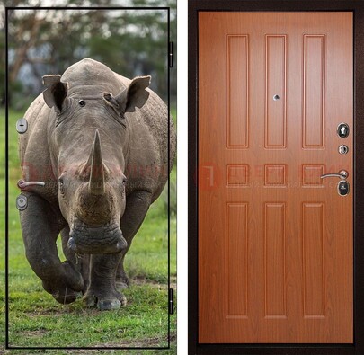 Металлическая дверь с фотопечатью носорога ДФ-31 в Луге