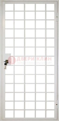 Белая металлическая решетчатая дверь ДР-2 в Луге