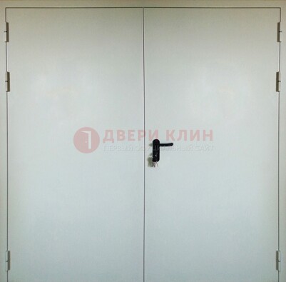 Белая металлическая техническая дверь ДТ-8 в Луге
