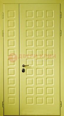 Салатовая тамбурная дверь ДТМ-28 в Луге